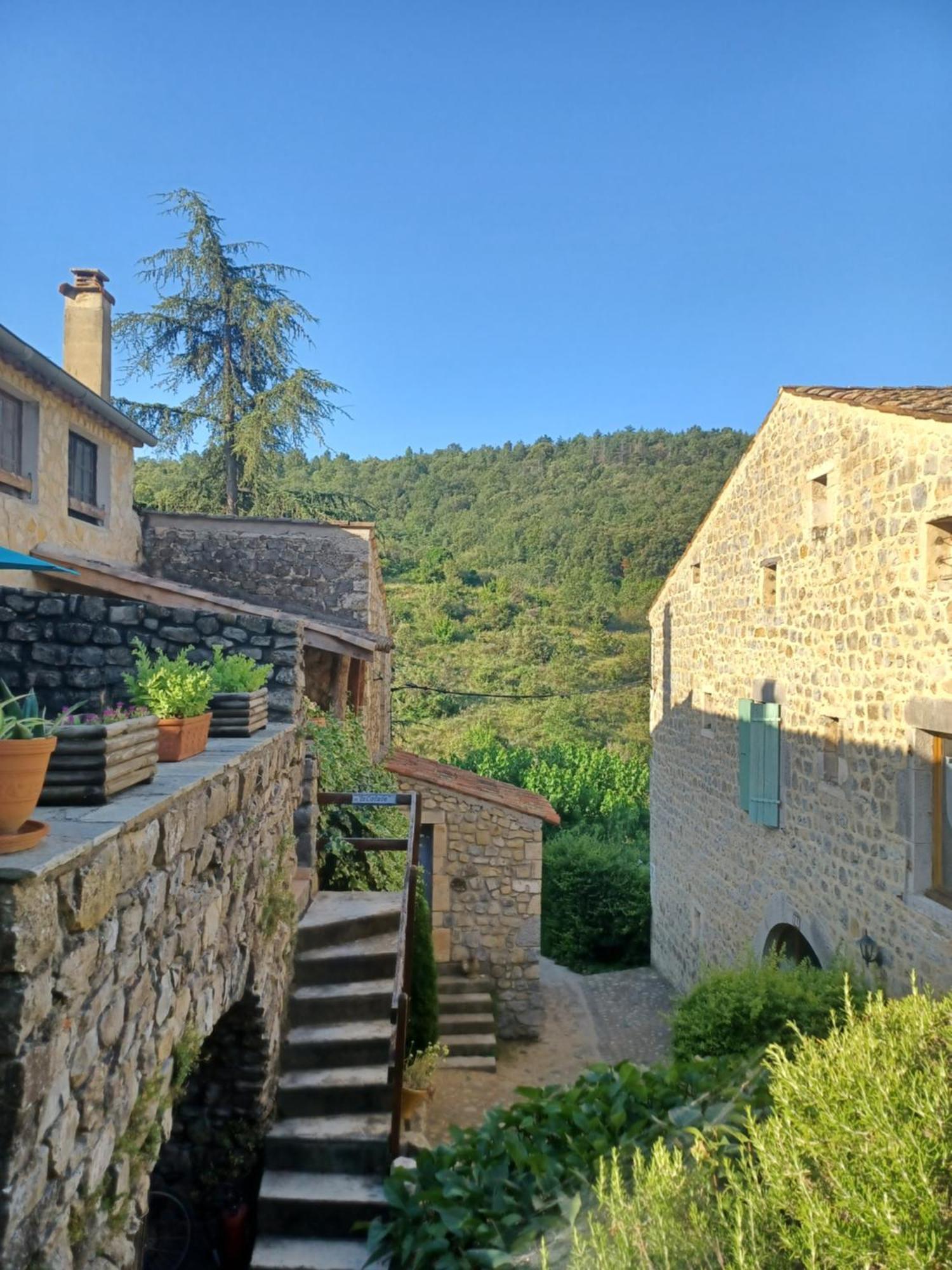 Gites Du Domaine De Serre Long Saint-Maurice-d'Ibie Ngoại thất bức ảnh